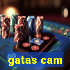 gatas cam